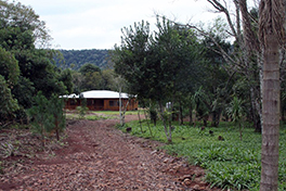 Actividades en Cabañas Ysyris