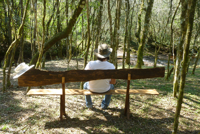 Imagen del Exterior de la Cabaña 0