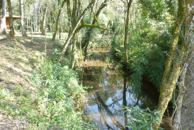 Imagen del Exterior de la Cabaña 3