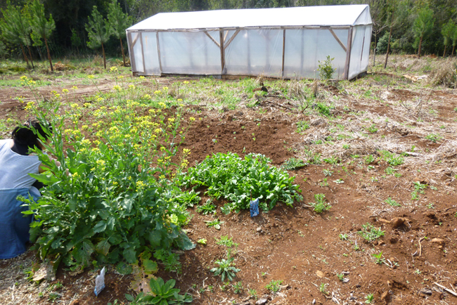 Imagen de la Huerta 0