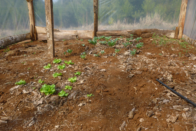 Imagen de la Huerta 1