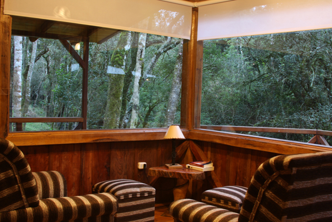 Imagen del Interior de la Cabaña 3