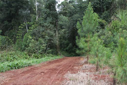 Sustentabilidad y medio ambiente en Cabañas Ysyris
