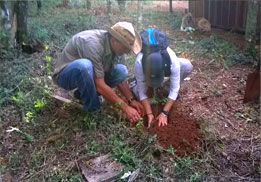 Sustentabilidad y medio ambiente en Cabañas Ysyris