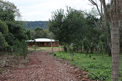 Sustentabilidad y medio ambiente en Cabañas Ysyris